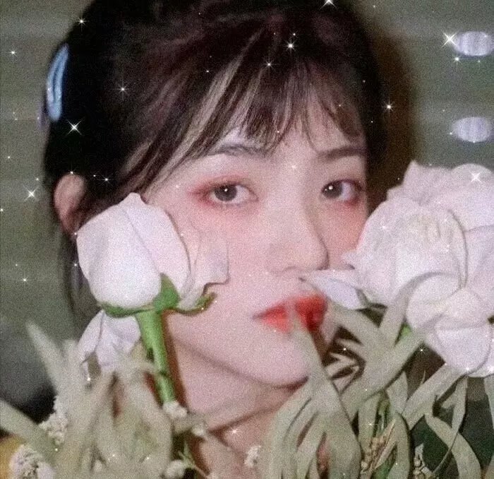 蜘蛛惊